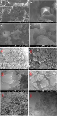 Synthesis and characterization of titanium dioxide nanoparticles from Bacillus subtilis MTCC 8322 and its application for the removal of methylene blue and orange G dyes under UV light and visible light